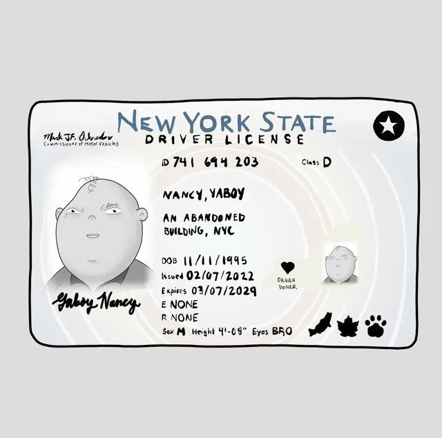 Nancy License