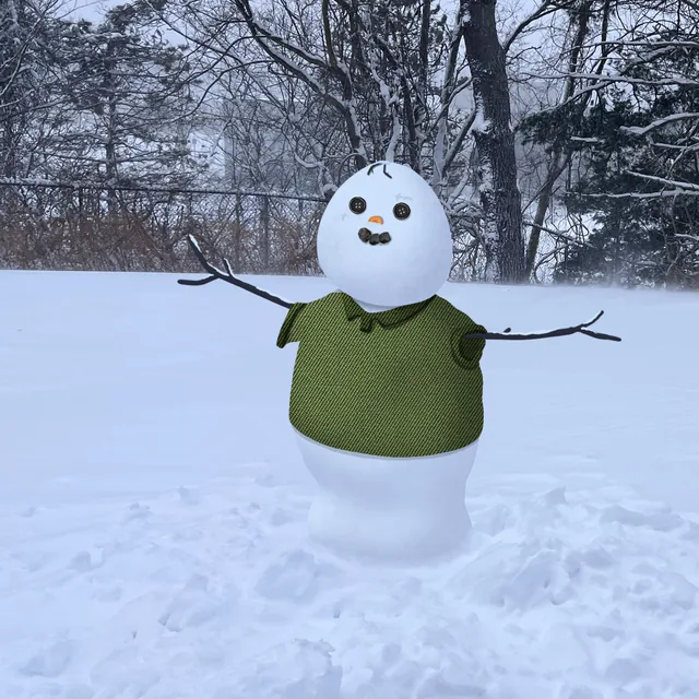 Snownancy